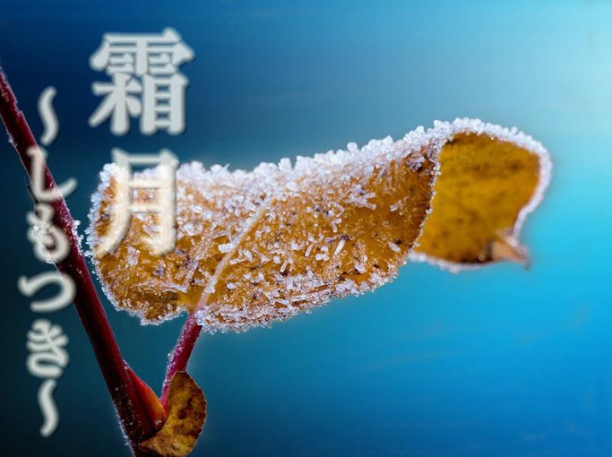 11月、霜月(しもつき)~季節の移ろい~