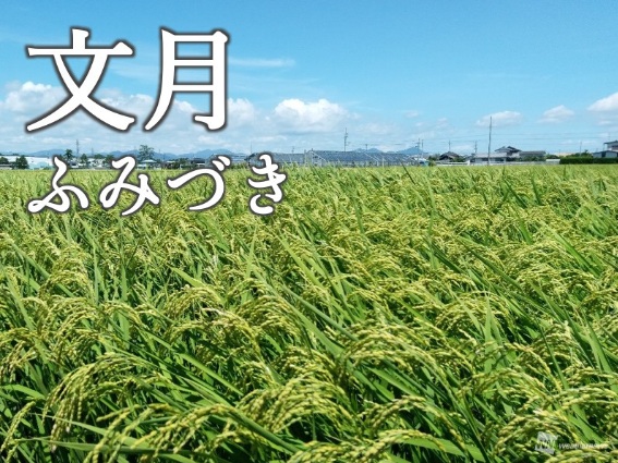 ７月、文月(ふみづき)～季節の移ろい～　